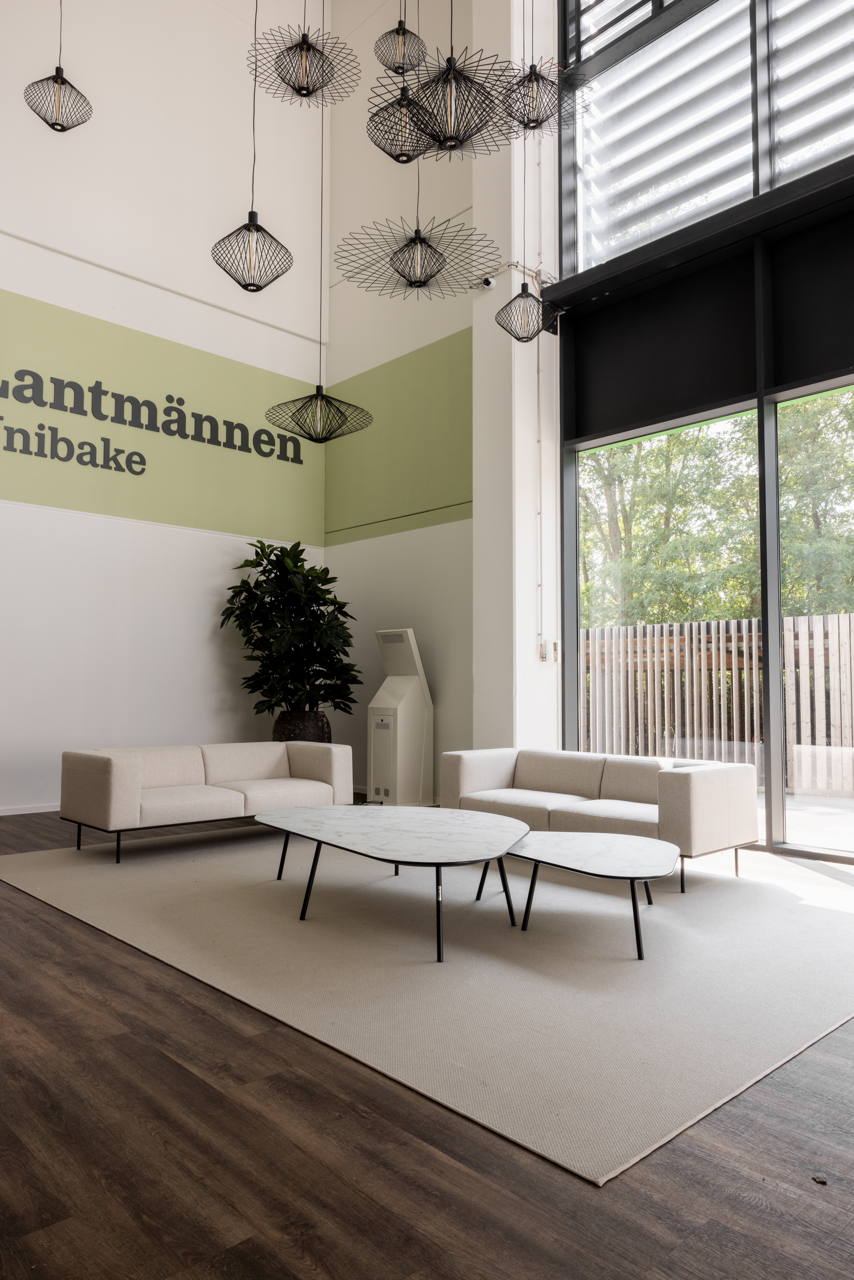 BBDESIGN 6 X8 A9105 WEB